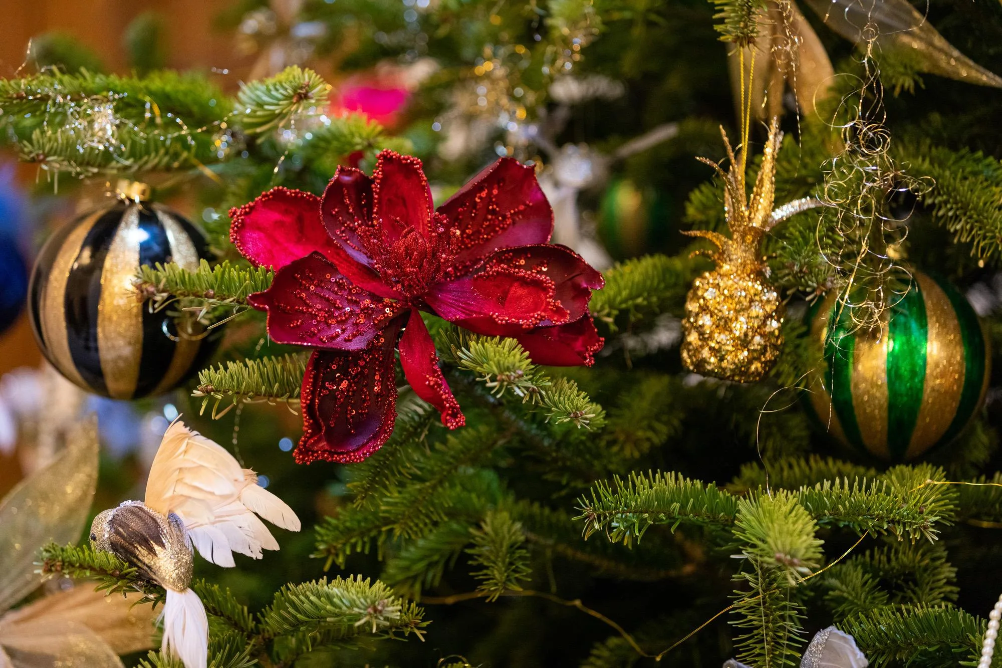 Enjoy the festive cheer at Winslade Manor