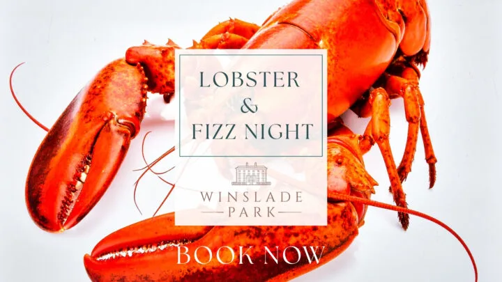 Lobster club red